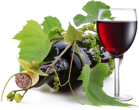 our standards <strong>Malesuada sagittis fringilla</strong>